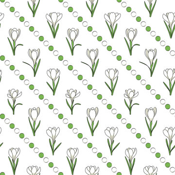 Seamless pattern with white crocus flowers, saffron. Vector background.