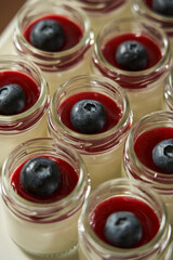 milk cream dessert with berry sauce and blueberries. small portions of dessert in jars close-up. panna cotta