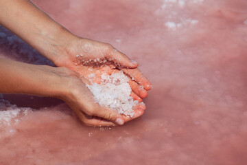 Fototapeta premium Women's palms collect healing salt from the surface of pink lake. Pink salt is used in cosmetology and alternative medicine