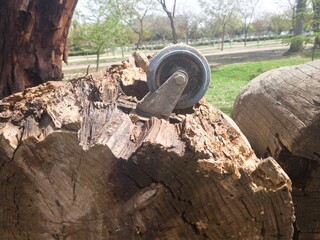 Big Tree Trunk with a Wheel Connected to it