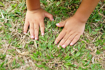 Children's hands touch the grass and the earth.