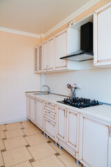 furniture and accessories for the kitchen in a classic style. interior