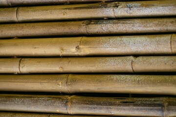 Full frame shot of bamboo wall background.