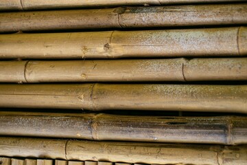 Full frame shot of bamboo wall background.
