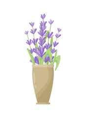Lavender flowers in a ceramic pot. Vector illustration of lavender blooming in a modern style. Indoor plants in a clay pot. Gardening.