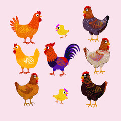 Chicken set, hen, rooster character vector illustration.