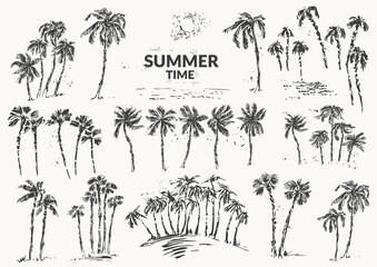 Hand drawn palm trees black ink sketch set
