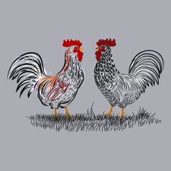 Chicken set, hen, rooster character vector illustration.