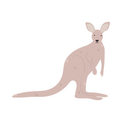 kangaroo icon image