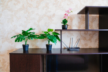 wi-fi router and artificial flowers. simple living room interior - obrazy, fototapety, plakaty
