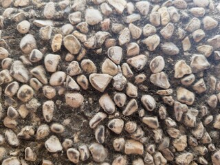 Gradient Brown Stone Texture for Background