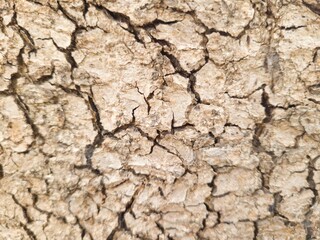 Gradient Wood Texture for Background