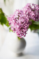 Fresh lilac bouquet. Beautiful lilac flowers bouquet background