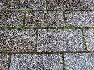 Stone pavement made by paving stones