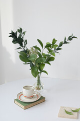 Simple green background of plants , Fresh green branches of Ruscus.