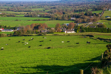 Fototapeta na wymiar Green fields and hills near Ardpatrick