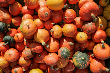 rote Hokkaidokuerbis auf einem Haufen bei Sonnenlicht