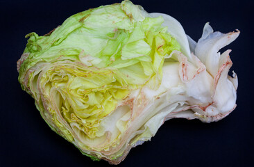 damaged and rotting vegetables, lettuce head wilting with browning edges - obrazy, fototapety, plakaty