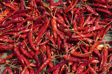 A lot of dried chili as a food background.