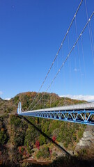 日本最大級の吊り橋の茨城県・竜神大吊橋(縦構図)　5999