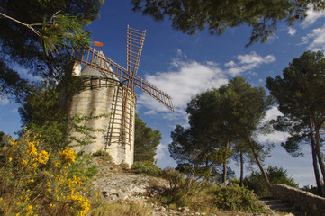Moulin à vent perché sur la colline de Provence 