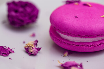 Pink macaroon close up on grey plate with rose flower and petals. Food concept