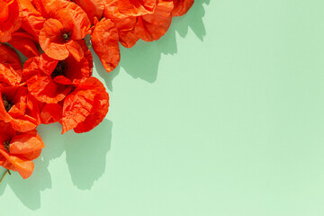Creative composition made of red poppies on pastel green  background. Nature concept. Summer layout in minimal style. Top view. Flat lay