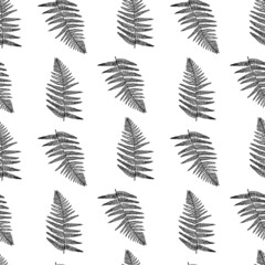 Vector pattern with ink fern - 498966171