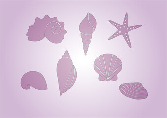 Collection of seashells on a pink background