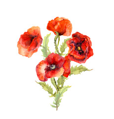 Red poppies flowers bouquet. Watercolor floral illustration