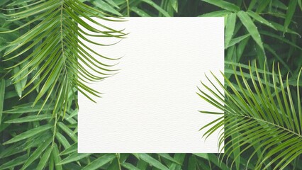 greeting card lay on leaves 