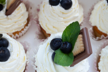 Set of tasty blueberry cupcakes. Delicious cakes with cream, blueberries and chocolate in a close-up. Top view. Packed in box.