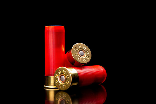 Shotgun shells on a black reflective surface. Ammunition for 12 gauge smoothbore weapons. Hunting ammunition. Dark back.