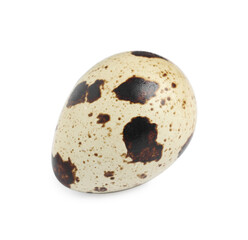 One beautiful quail egg isolated on white