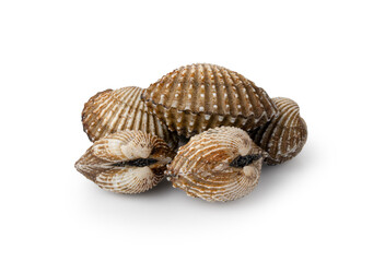 Fresh cockles isolated on white background with Clipping Path. Natural seafood.