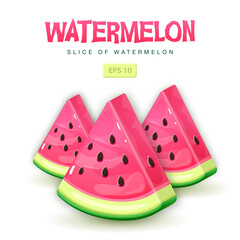 Set of watermelon slices isolated on white background. Vector watermelon illustration
