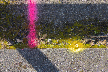 Pink and yellow spray paint marking on the pavement