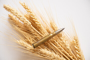 The bullet lies on wheat on a white background, crop protection in Ukrainian fields, weapons