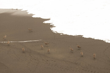 footprints on the sand