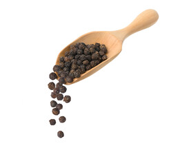 Pouring Black peppercorns (Black pepper) from wooden scoop isolated on white background.