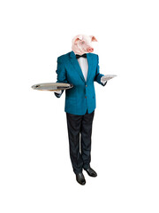 cochon, habillé en homme, serveur, maitre d'hôtel, servir, restauration, service, tête d'animale, debout, gastronomie, garçon, isolé, travailleur
