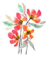 Bouquet di fiori colorati, acquerello isolato su sfondo bianco © sommaria