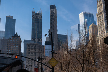 Fototapeta na wymiar city building skyline and tree view in New York 