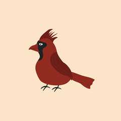 Funny red cardinal bird hand drawn vector illustration. Isolated cute baby character in flat style.