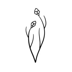 Natural plant. Abstract doodle flower.