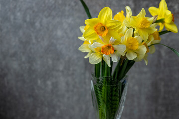 Panoramic grunge background with yellow daffodil flowers. Pattern with a bouquet of daffodils flowers on a dark background. Wide angle web banner mockup with copy space