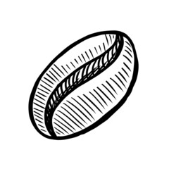 Coffee bean vector illustration on white background