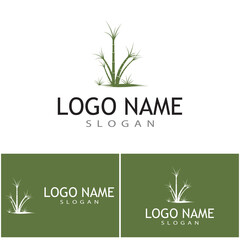 Sugar cane Logo Template vector symbol nature