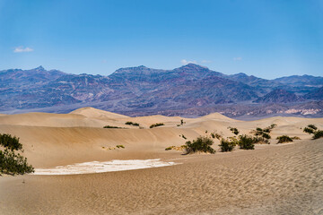 Fototapeta na wymiar Mesquite Flat Sand Dunes in Death Valley. Mountains on background