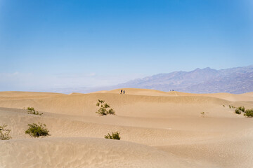 Fototapeta na wymiar Mesquite Flat Sand Dunes in Death Valley 